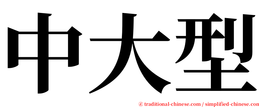 中大型 serif font