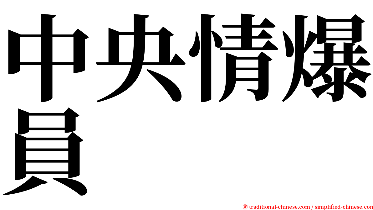 中央情爆員 serif font