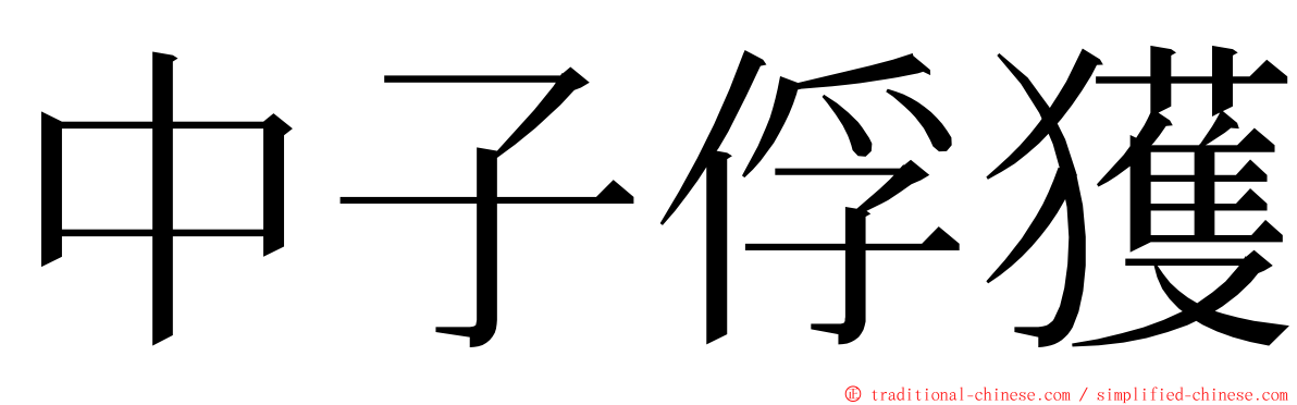 中子俘獲 ming font