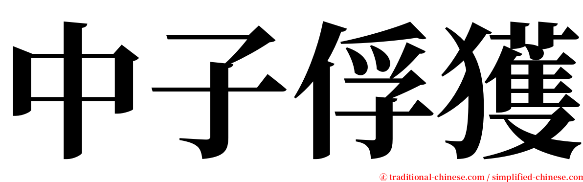 中子俘獲 serif font