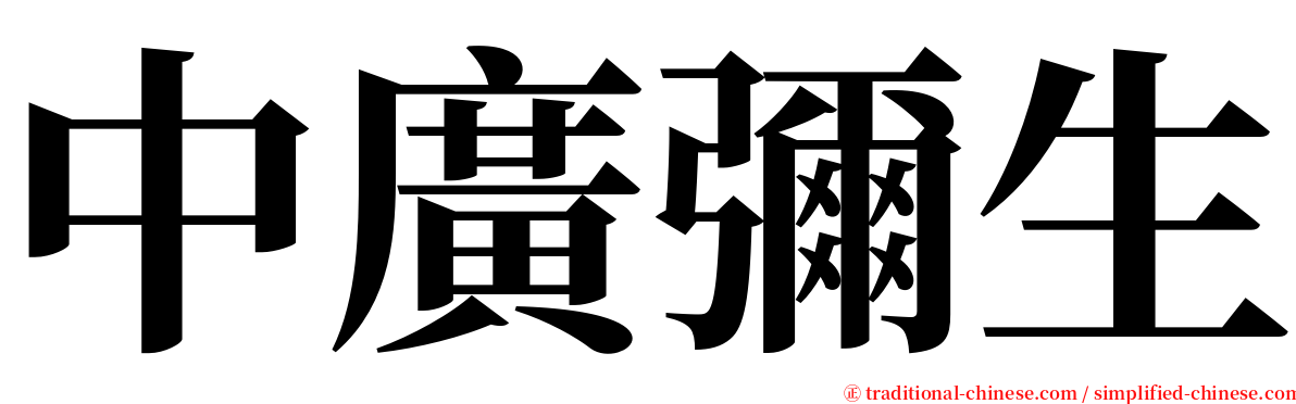 中廣彌生 serif font