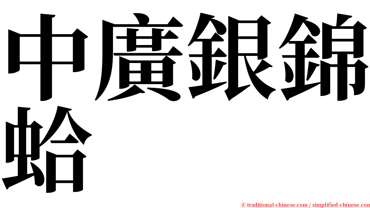 中廣銀錦蛤 serif font