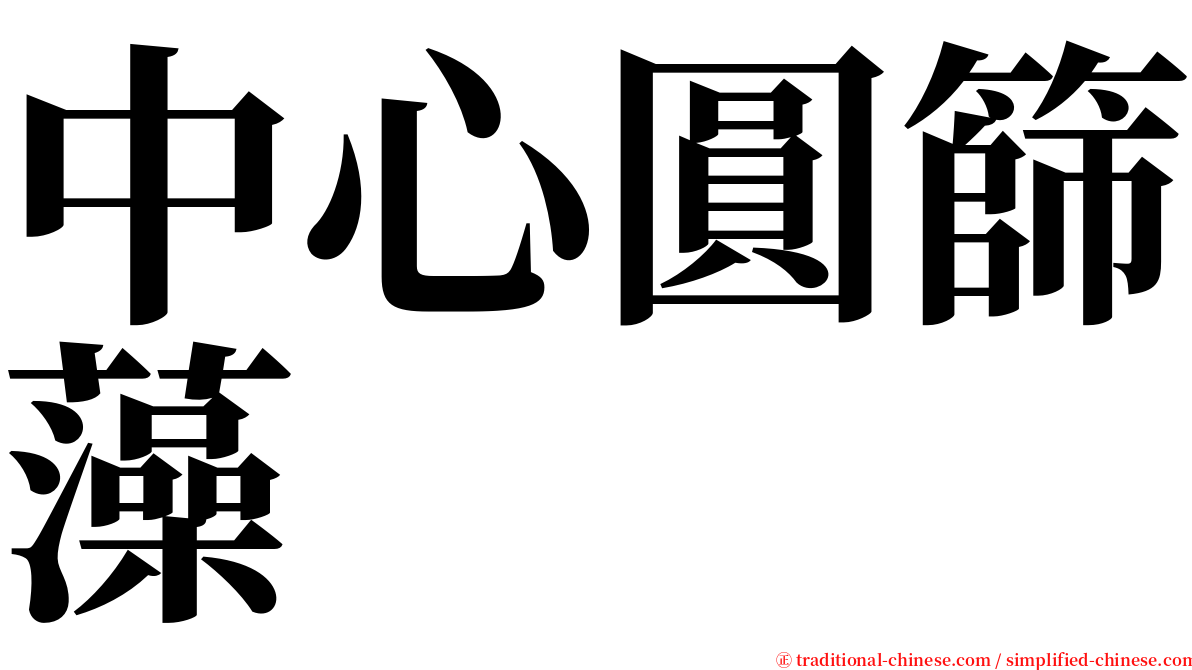 中心圓篩藻 serif font