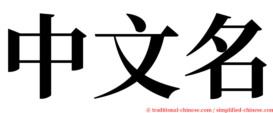 中文名 serif font