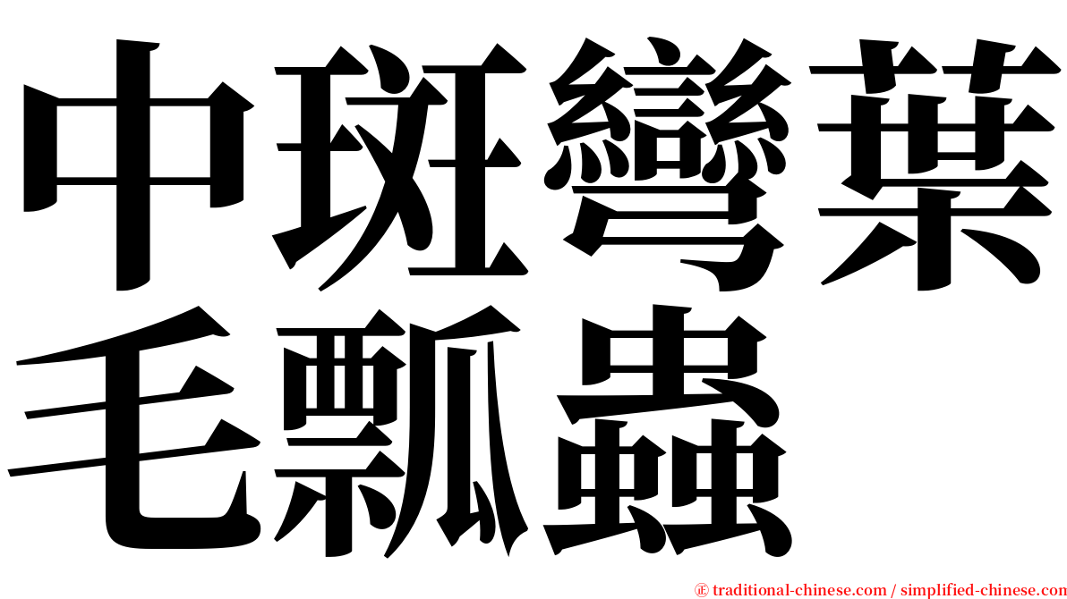 中斑彎葉毛瓢蟲 serif font