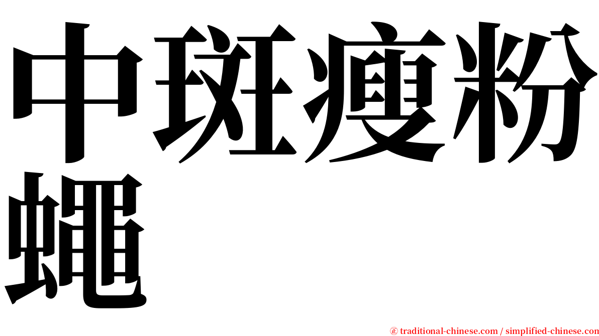 中斑瘦粉蠅 serif font