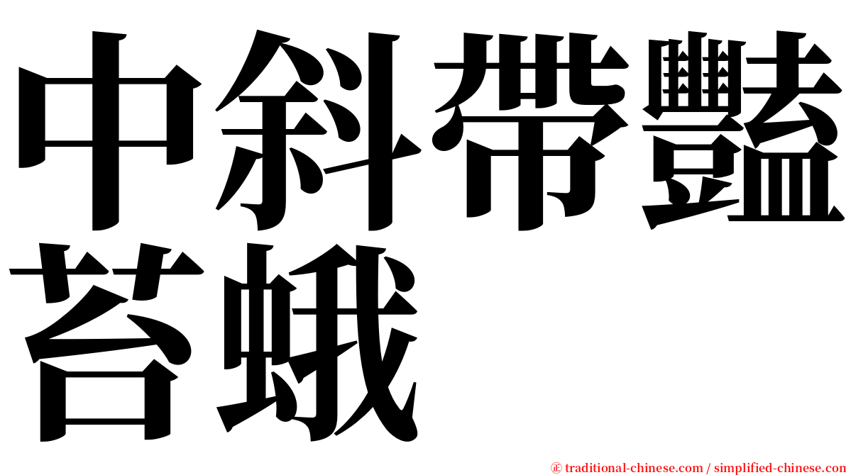 中斜帶豔苔蛾 serif font