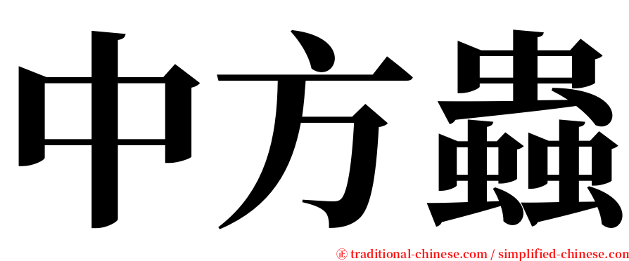 中方蟲 serif font