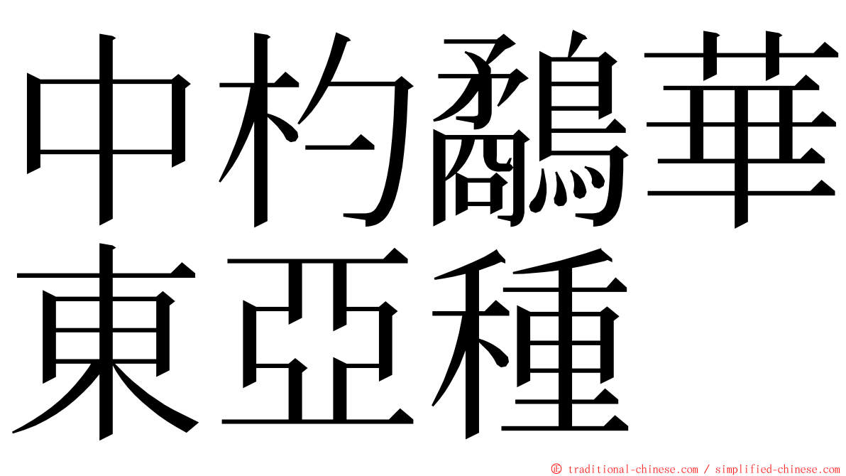 中杓鷸華東亞種 ming font