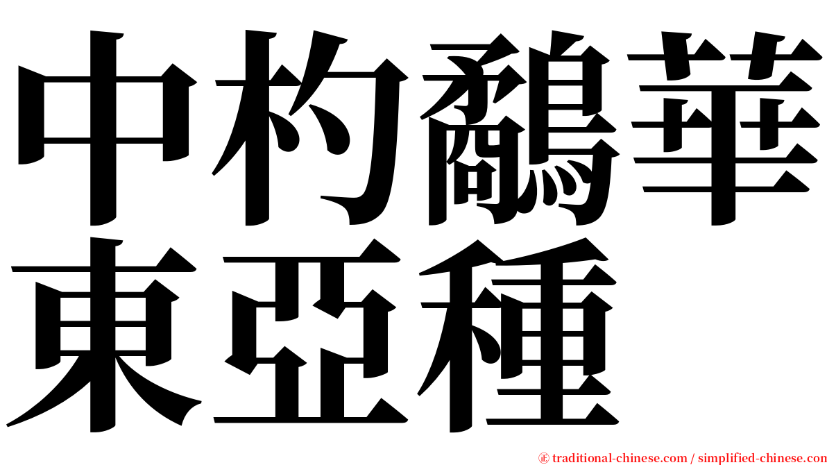 中杓鷸華東亞種 serif font