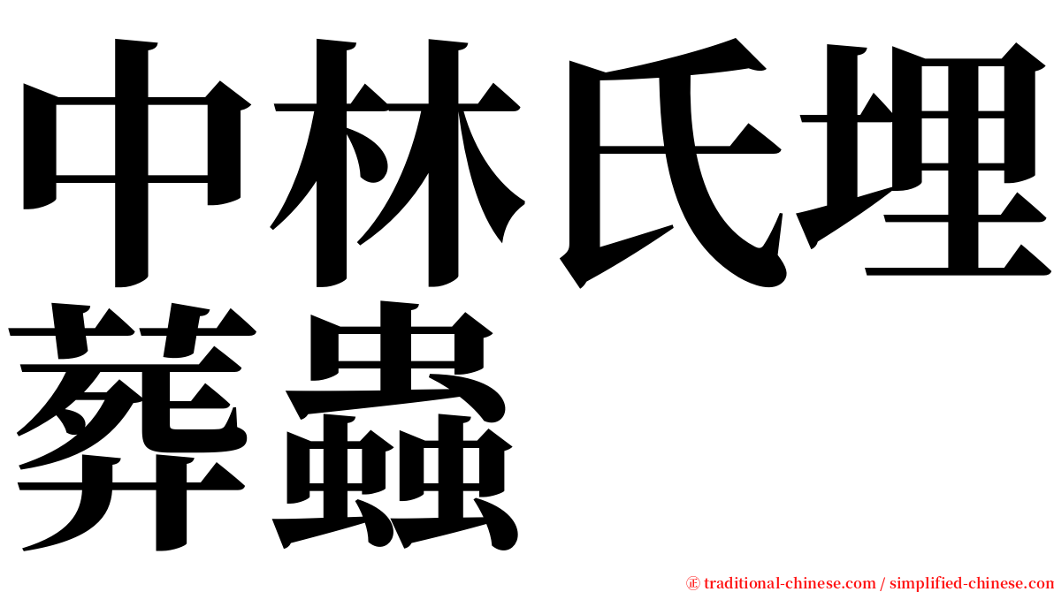 中林氏埋葬蟲 serif font