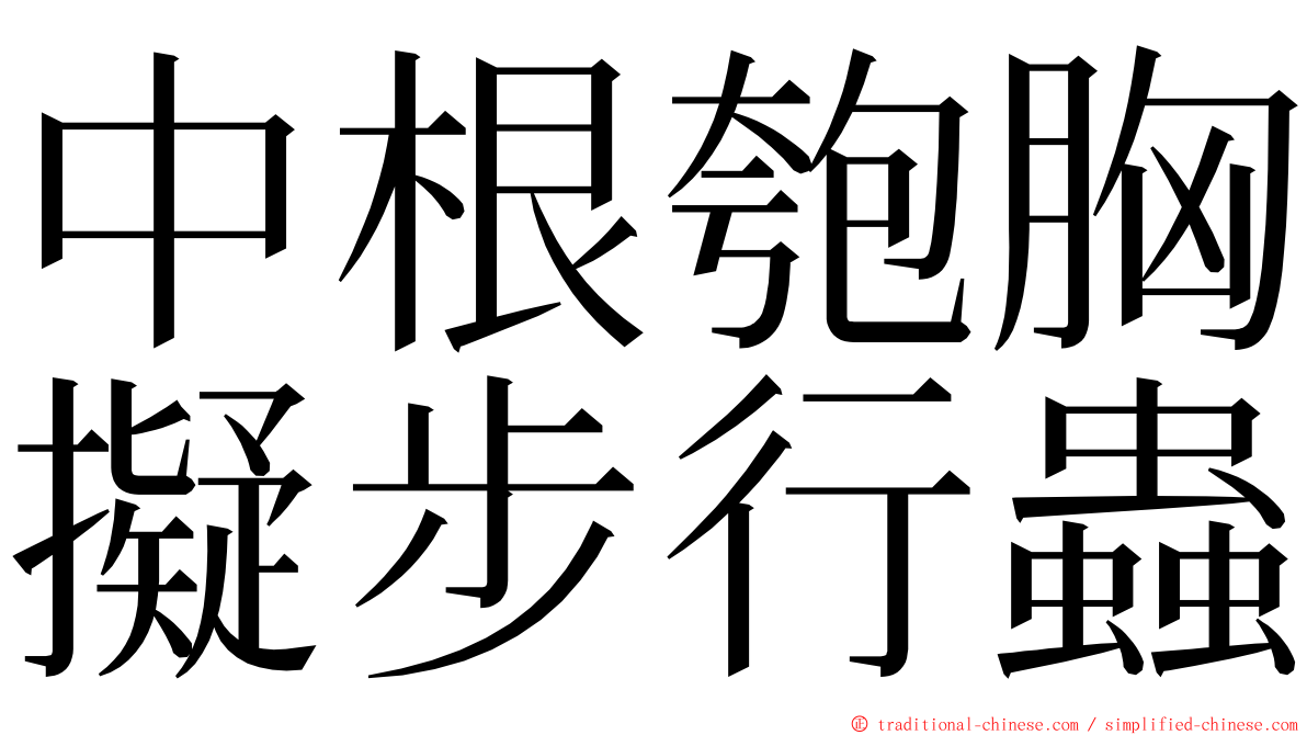 中根匏胸擬步行蟲 ming font