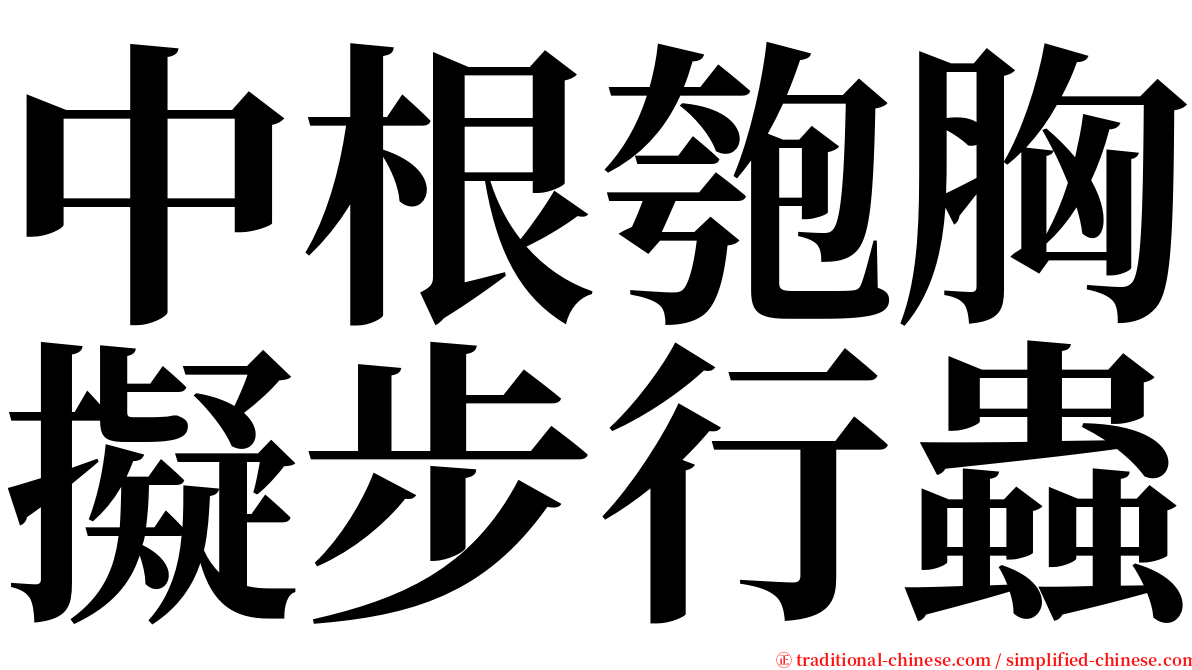中根匏胸擬步行蟲 serif font