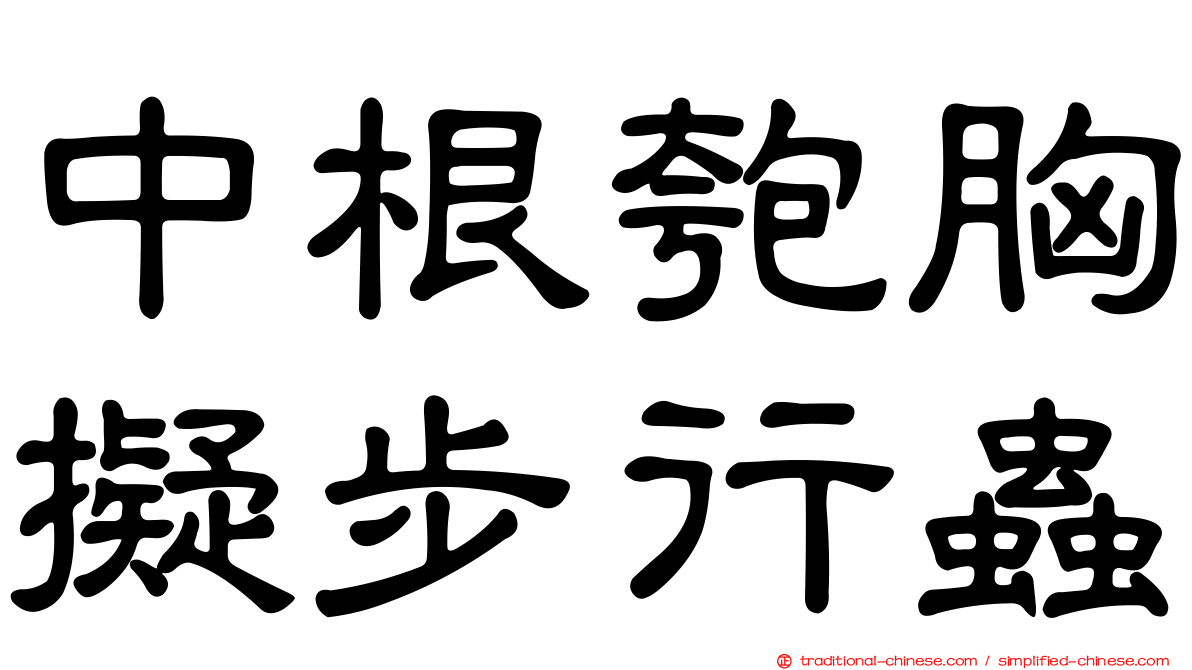 中根匏胸擬步行蟲