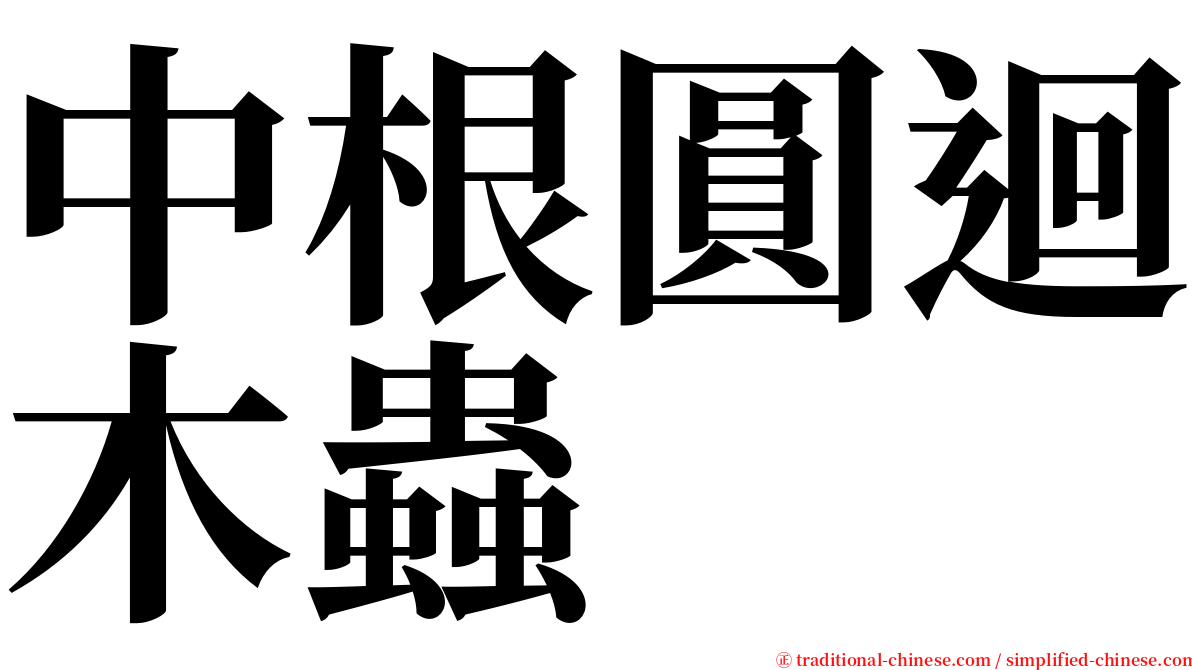 中根圓迴木蟲 serif font