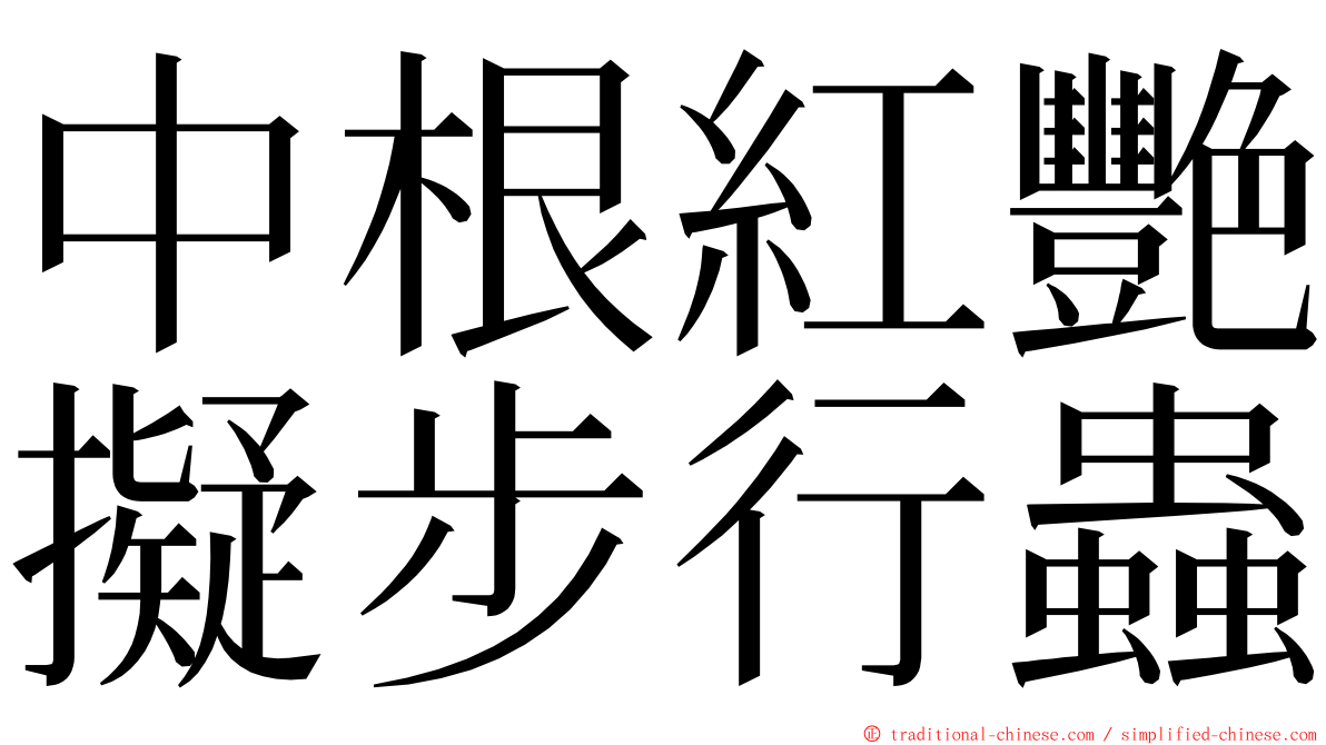 中根紅艷擬步行蟲 ming font