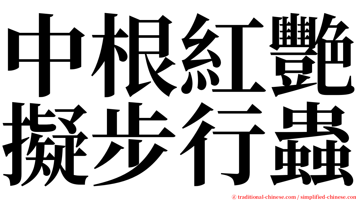 中根紅艷擬步行蟲 serif font