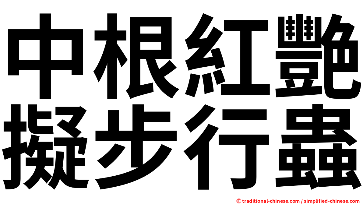 中根紅艷擬步行蟲