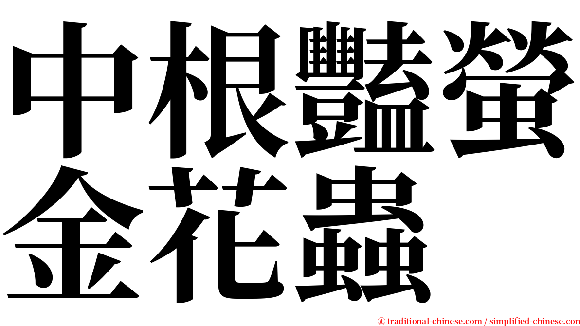 中根豔螢金花蟲 serif font