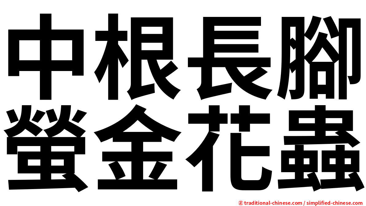 中根長腳螢金花蟲