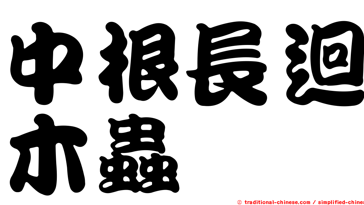 中根長迴木蟲