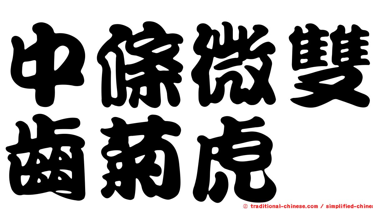 中條微雙齒菊虎