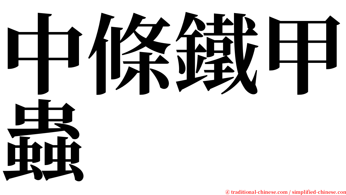 中條鐵甲蟲 serif font