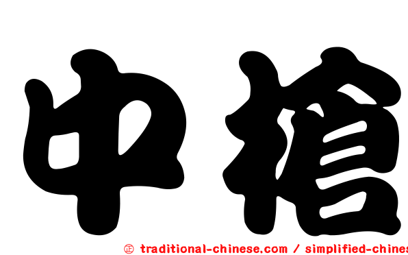 中槍