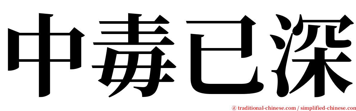 中毒已深 serif font