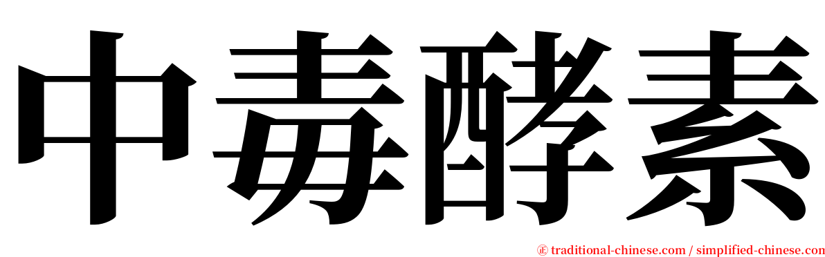 中毒酵素 serif font