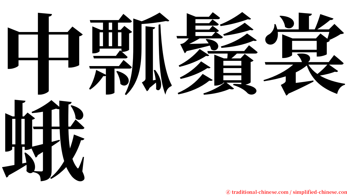 中瓢鬚裳蛾 serif font