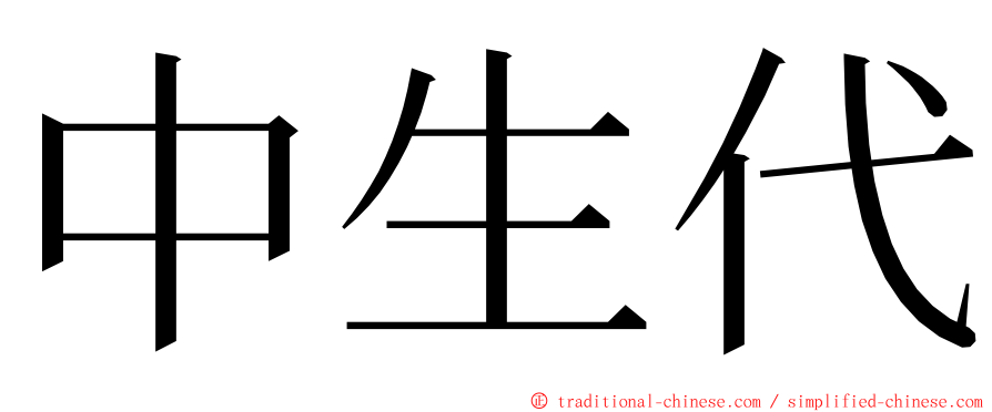 中生代 ming font
