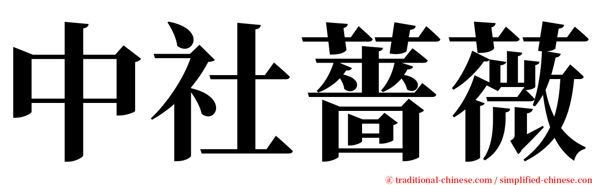 中社薔薇 serif font