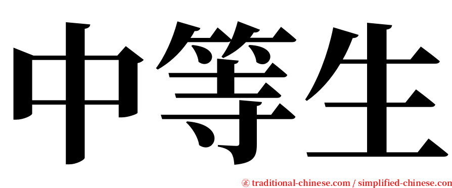 中等生 serif font