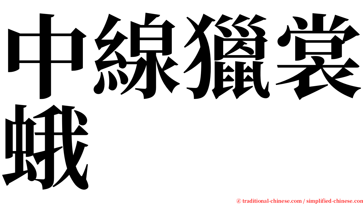 中線獵裳蛾 serif font