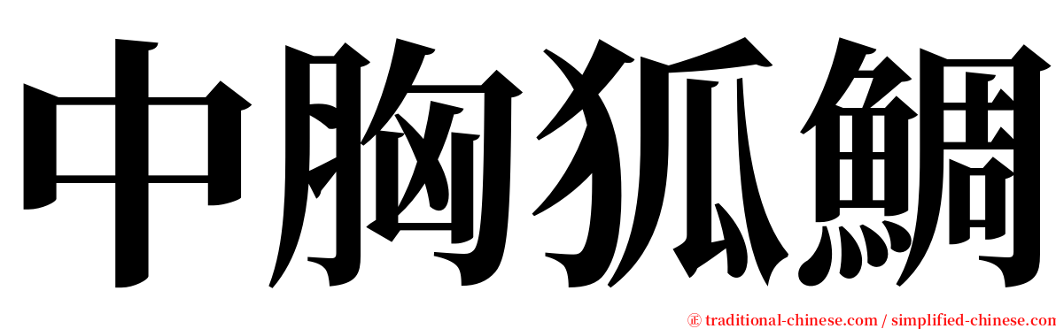 中胸狐鯛 serif font