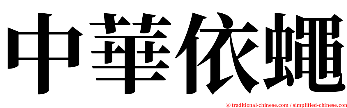 中華依蠅 serif font
