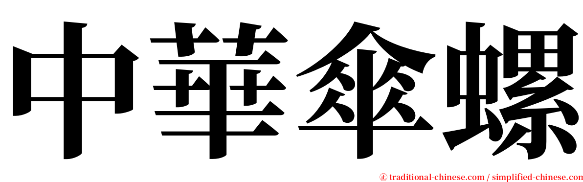 中華傘螺 serif font