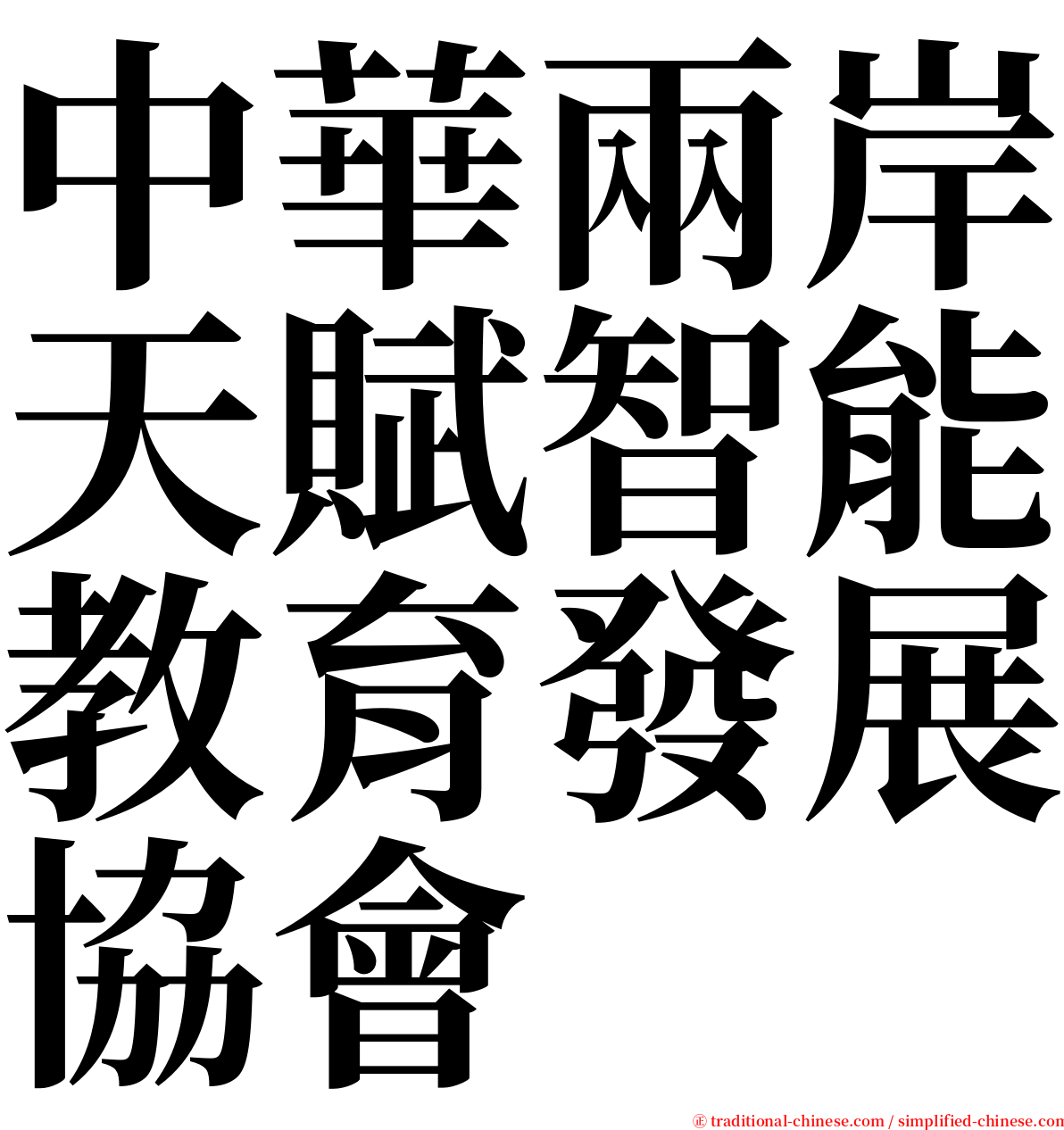 中華兩岸天賦智能教育發展協會 serif font