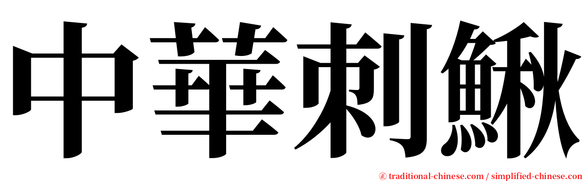 中華刺鰍 serif font