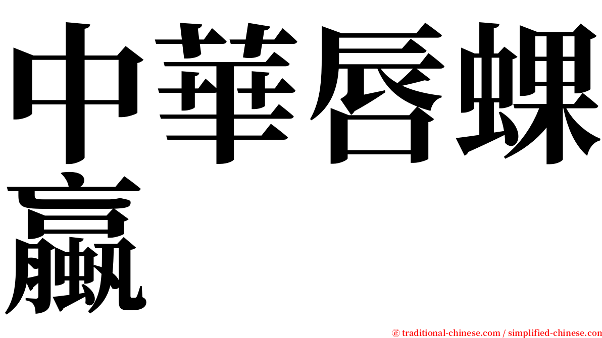 中華唇蜾蠃 serif font