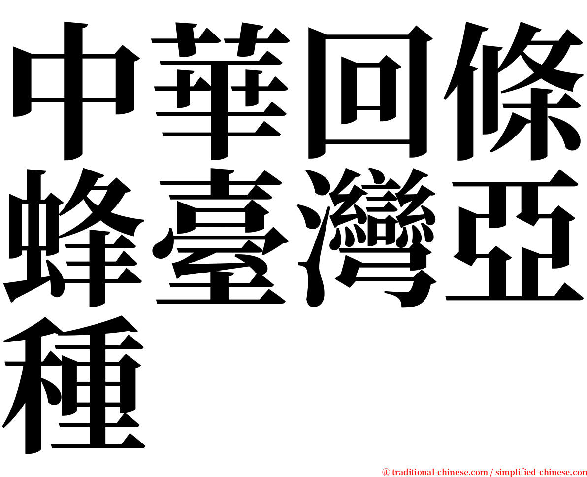 中華回條蜂臺灣亞種 serif font