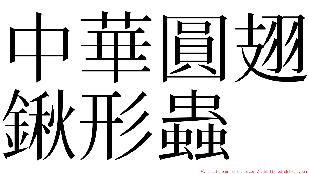 中華圓翅鍬形蟲 ming font
