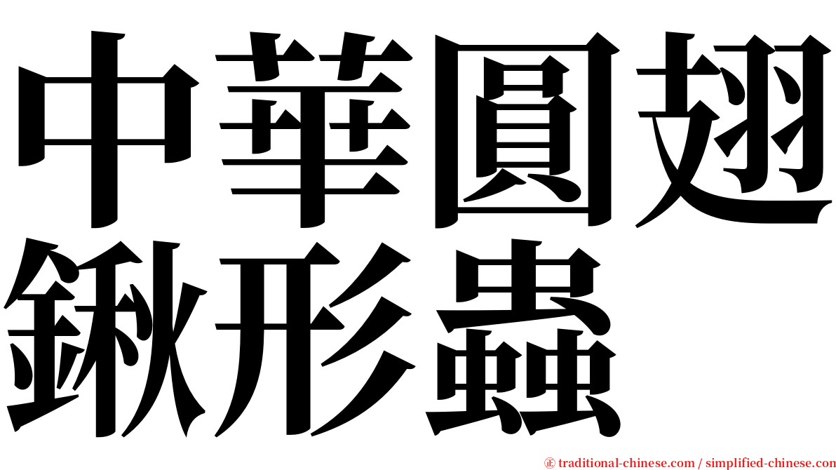 中華圓翅鍬形蟲 serif font