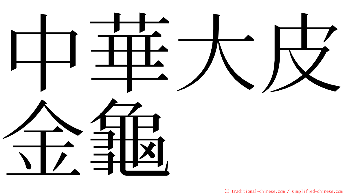 中華大皮金龜 ming font