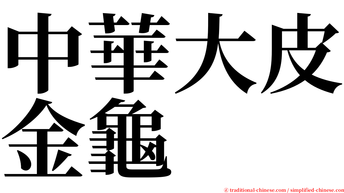 中華大皮金龜 serif font