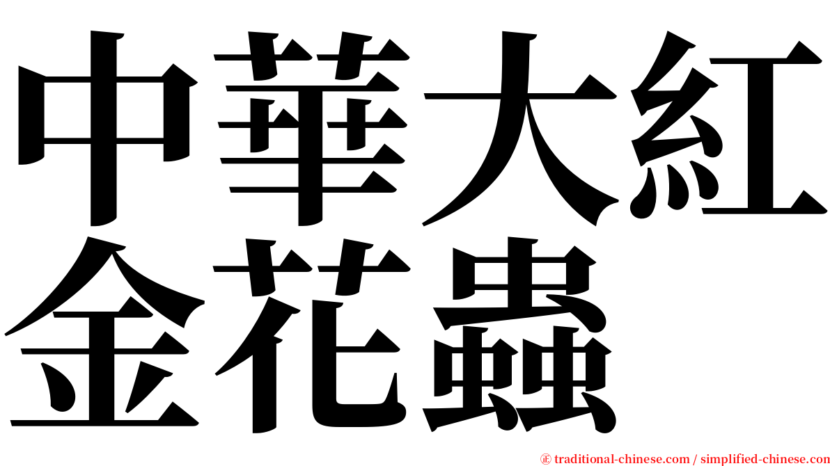 中華大紅金花蟲 serif font