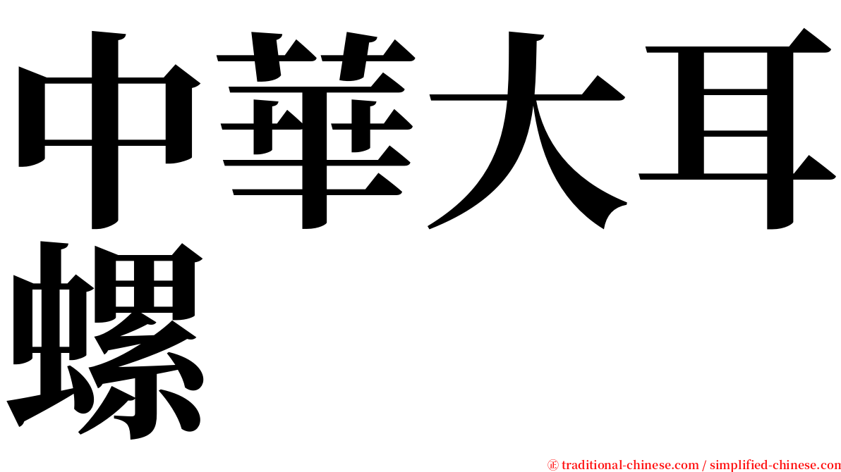 中華大耳螺 serif font