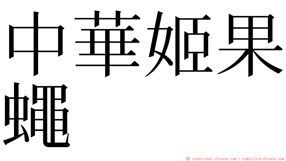 中華姬果蠅 ming font