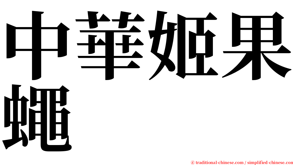 中華姬果蠅 serif font